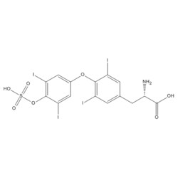 Medchemexpress LLC&nbsp;HY-101406 10mg Medchemexpress, Thyroxine sulfate CAS:77074-49-8 Purity:>98%