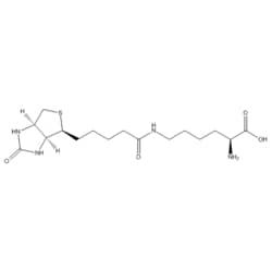 Medchemexpress LLC&nbsp;HY-101884 10mg Medchemexpress, Biocytin CAS:576-19-2 Purity:>98%