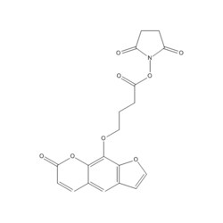 Medchemexpress LLC HY-104025 10mg Medchemexpress, SPB CAS:858128-57-1 Purity:>98%,