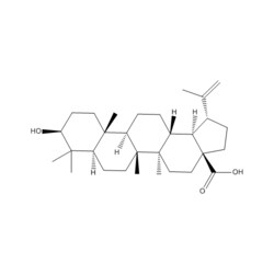 Medchemexpress LLC HY-10529 100mg Medchemexpress, Betulinic acid CAS:472-15-1