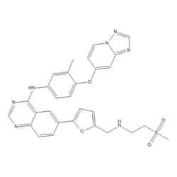 Medchemexpress LLC&nbsp;HY-10531 5mg Medchemexpress, ARRY-380 (analog ) CAS:937265-83-3 Purity:>98%