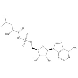 Medchemexpress LLC&nbsp;Leu-AMS R enantiomer | 459.48 | 10 MG