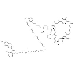 Medchemexpress LLC HY-111373 1mg Medchemexpress, RapaLink-1 CAS:1887095-82-0