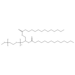 Medchemexpress LLC HY-112764 500mg Medchemexpress, DMG-PEG 2000 CAS:160743-62-4