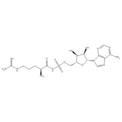 Medchemexpress LLC&nbsp;HY-112862 10mg Medchemexpress, Arg-AMS CAS:301351-95-1 Purity:>98%