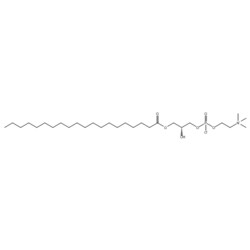 Medchemexpress LLC&nbsp;HY-113010 10mg Medchemexpress, 1-Arachidoyl-sn-glycero-3-phosphocholine CAS:108341-80-6 Purity:>98%