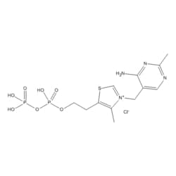 Medchemexpress LLC HY-113076 100mg Medchemexpress, Thiamine pyrophosphate