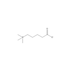 Medchemexpress LLC HY-114202 10mg Medchemexpress, delta-Valerobetaine CAS:6778-33-2