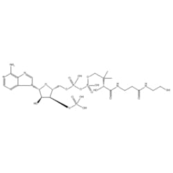 Medchemexpress LLC HY-128851 5mg Medchemexpress, Coenzyme A CAS:85-61-0