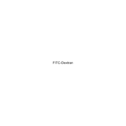 Medchemexpress LLC HY-128868A 5mg Medchemexpress, FITC-Dextran (MW 4000)