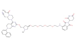 Medchemexpress LLC PROTAC K-Ras Degrader-1 | 2378258-52-5 | MFCD32263411