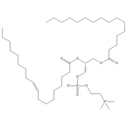 Medchemexpress LLC HY-130462 5mg Medchemexpress, 1-Palmitoyl-2-oleoyl-sn-glycero-3-PC