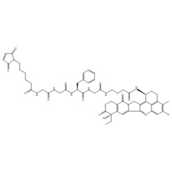 Medchemexpress LLC HY-13631E 10mg Medchemexpress, Deruxtecan CAS:1599440-13-7
