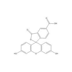 Medchemexpress LLC&nbsp;HY-66022 500mg Medchemexpress, 5-FAM 5-Carboxyfluorescein CAS:76823-03-5 Purity:98%