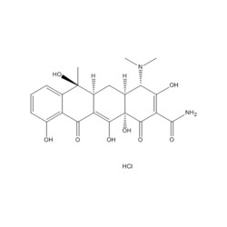 Medchemexpress LLC HY-B0474 500mg Medchemexpress, Tetracycline (hydrochloride)