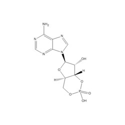 Medchemexpress LLC HY-B1511 500mg Medchemexpress, Cyclic AMP CAS:60-92-4