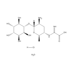 Medchemexpress LLC&nbsp;HY-B1864B 1g Medchemexpress, Kasugamycin (hydrochloride hydrate) CAS:200132-83-8 Purity:>98%
