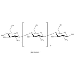 Medchemexpress LLC HY-B2144B 500mg Medchemexpress, Chitosan (MW 30000)