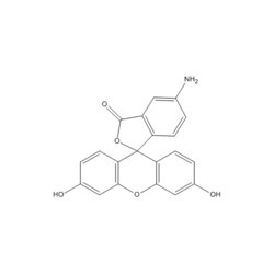 Medchemexpress LLC HY-D0022 1g Medchemexpress, 5-Aminofluorescein CAS:3326-34-9 Purity:>98%