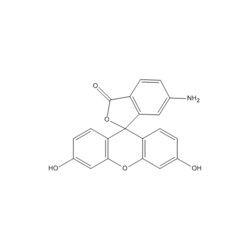 Medchemexpress LLC HY-D0022A 1g , 6-Aminofluorescein 6-AF CAS:51649-83-3