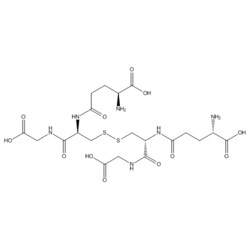 Medchemexpress LLC HY-D0844 100mg Medchemexpress, Glutathione oxidized CAS:27025-41-8 Purity:>98%