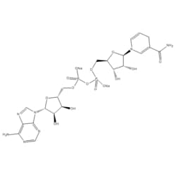 Medchemexpress LLC&nbsp;HY-F0001 100mg Medchemexpress, NADH (disodium salt) CAS:606-68-8 Purity:>98%