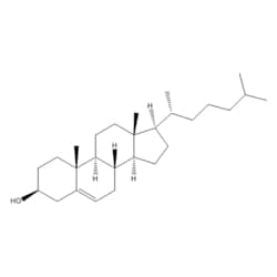 Medchemexpress LLC HY-N0322 500mg Medchemexpress, Cholesterol CAS:57-88-5