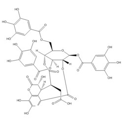 Medchemexpress LLC HY-N2033 5mg Medchemexpress, Chebulinic acid CAS:18942-26-2