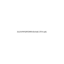 Medchemexpress LLC HY-P0228A 1mg Medchemexpress, Calcineurin substrate
