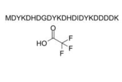 Medchemexpress LLC 3X FLAG peptide TFA | 5mg, Quantity: Each of 1