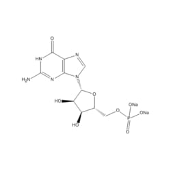 Medchemexpress LLC&nbsp;HY-W010970 100mg Medchemexpress, 5'-Guanylic acid (disodium salt) CAS:5550-12-9 Purity:>98%
