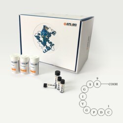 Apexbio Technology LLC Extracellular matrix glycoprotein 110590-60-8. MFCD00076474,