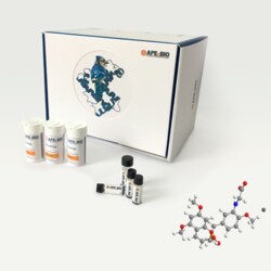 Apexbio Technology LLC Rigosertib sodium salt, 1225497-78-8, MFCD11655911,