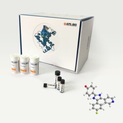 Apexbio Technology LLC highly selective, potent and cell-permeable p38
