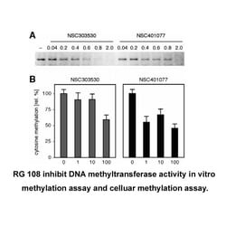 Apexbio Technology LLC RG 108, 10mg. Cas: 48208-26-0 MFCD: MFCD08705332.