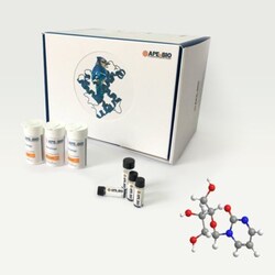 Apexbio Technology LLC potent DNA Methyltransferases and cytidine deaminase