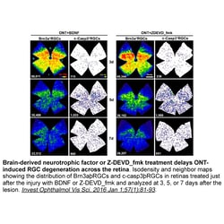 Apexbio Technology LLC&nbsp;Cell-permeable, and irreversible caspase-3 inhibitor 210344-95-9. MFCD23380217