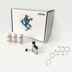 Apexbio Technology LLC Dovitinib (TKI-258, CHIR-258), 5mg. Cas: 405169-16-6