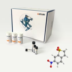 Apexbio Technology LLC Stattic, 19983-44-9, MFCD00173799, 25 mg, Quantity:
