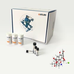Apexbio Technology LLC Epirubicin HCl, 5mg. Cas: 56390-09-1 MFCD: MFCD00941448.
