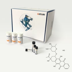Apexbio Technology LLC anthracycline and an analog of daunorubicin 57852-57-0.