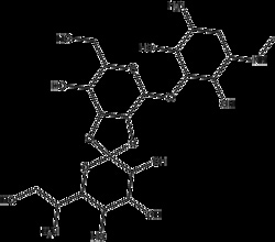 Apexbio Technology LLC HYGROMYCIN B 200MG, Quantity: Pack of 1