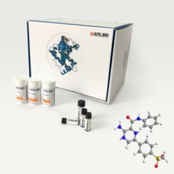 Apexbio Technology LLC Cell-permeable and ATP-competitive ATM kinase inhibitor