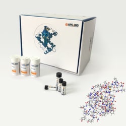 Apexbio Technology LLC Competitive, reversible serine protease inhibitor