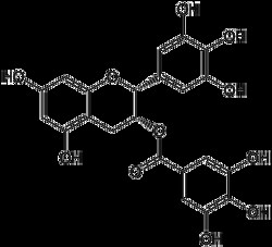 Apexbio Technology LLC -- EPIGA. GALL. EGCG 100MG, Quantity: Pack of 1