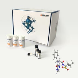 Apexbio Technology LLC Bortezomib (PS-341), 500mg. Cas: 179324-69-7 MFCD: