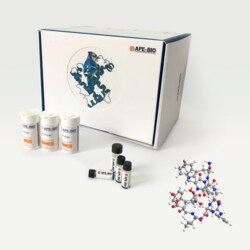 Apexbio Technology LLC Panx-1 mimetic inhibitory peptide, blocks pannexin-1