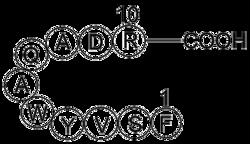 Apexbio Technology LLC Scrambled 10Panx, 5mg. Cas: 1315378-72-3 MFCD: MFCD16621675.