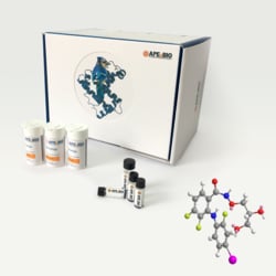 Apexbio Technology LLC MEK inhibitor 391210-10-9. MFCD08435926, Quantity: