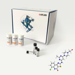 Apexbio Technology LLC Dasatinib (BMS-354825), 302962-49-8, MFCD11046566,